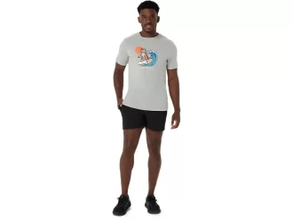 AURINGONPAISTE-T-PAITA