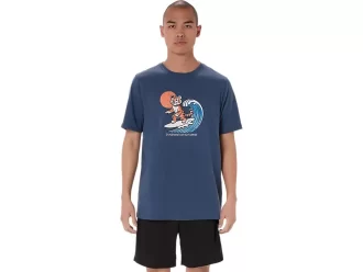 AURINGONPAISTE-T-PAITA