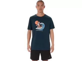 AURINGONPAISTE-T-PAITA