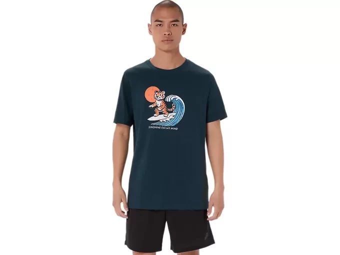 AURINGONPAISTE-T-PAITA