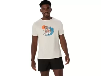 AURINGONPAISTE-T-PAITA