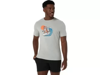 AURINGONPAISTE-T-PAITA