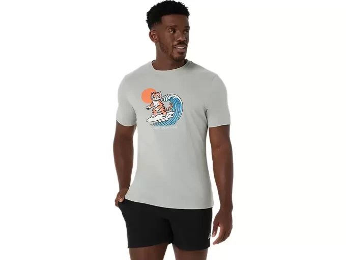 AURINGONPAISTE-T-PAITA