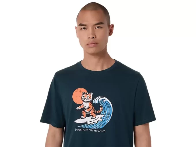 AURINGONPAISTE-T-PAITA