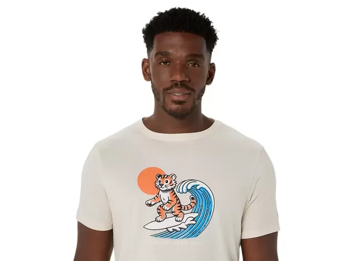 AURINGONPAISTE-T-PAITA