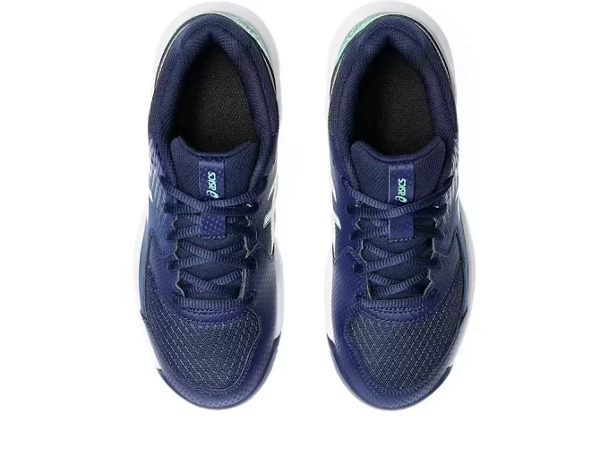 GEL-DEDICATE 8. LUOKAN KOULUTUS