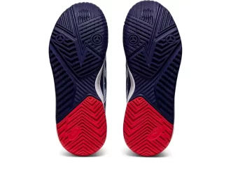 GEL-Resolution 8 TIETEKÄYTTÖÖN TESTATTU