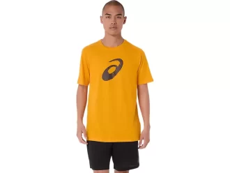 PAINTBRUSH-LYHYTHIHAINEN T-PAITA