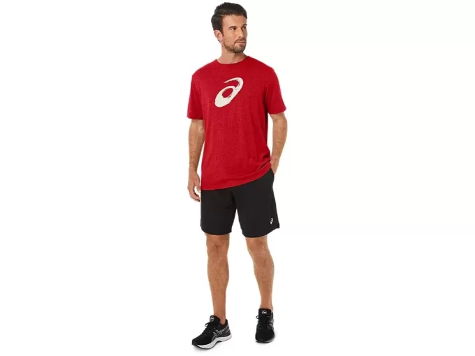 PAINTBRUSH-LYHYTHIHAINEN T-PAITA