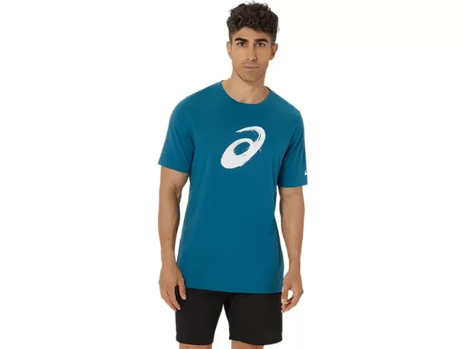 PAINTBRUSH-LYHYTHIHAINEN T-PAITA