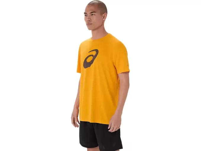 PAINTBRUSH-LYHYTHIHAINEN T-PAITA PAINTBRUSH-LYHYTHIHAINEN T-PAITA