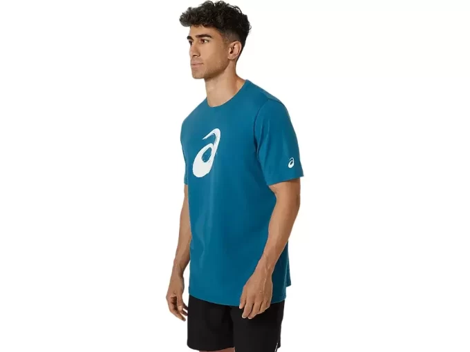 PAINTBRUSH-LYHYTHIHAINEN T-PAITA