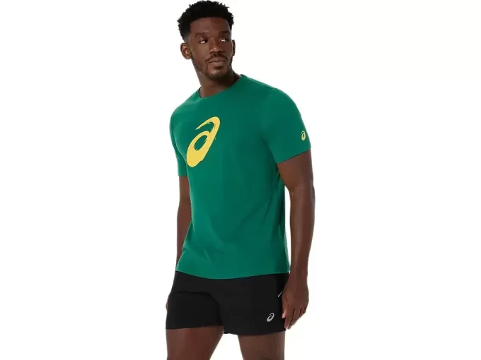 PAINTBRUSH-LYHYTHIHAINEN T-PAITA PAINTBRUSH-LYHYTHIHAINEN T-PAITA