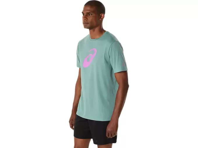 PAINTBRUSH-LYHYTHIHAINEN T-PAITA