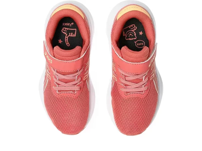 PRE-EXCITE 11 ESIKOULU