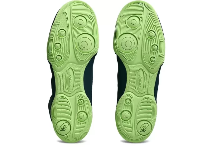 Snapdownin 4. luokan koulu Snapdownin 4. luokan koulu